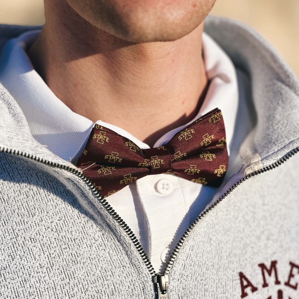 Eagles Wings I-State Cardinal & Gold Bow Tie